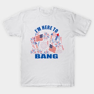 funny 4th of july T-Shirt